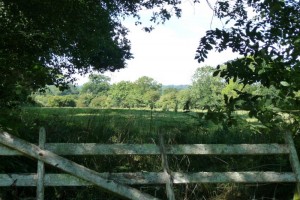 vert-cotentin