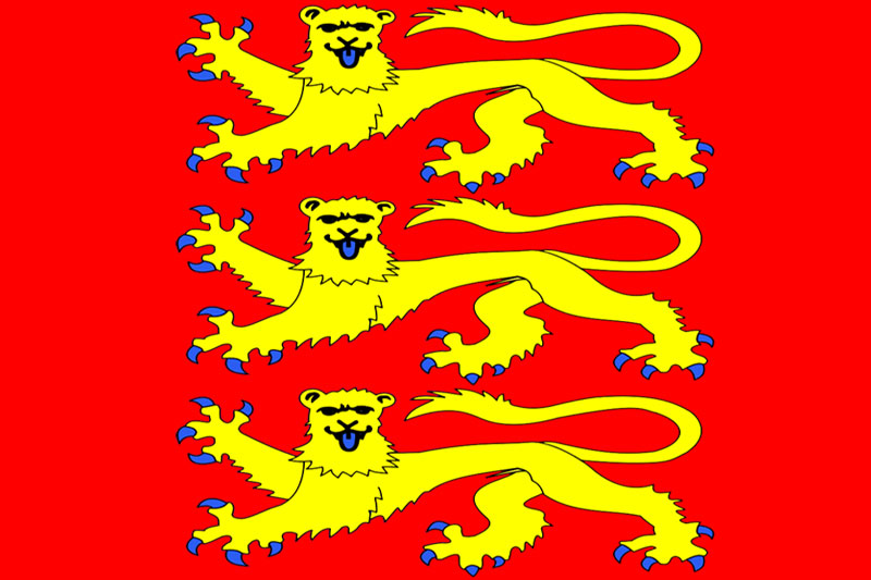 Drapeau France Haute-Normandie Trois Chats - 60x90 Cm, Polyester, Pour Intérieur/extérieur